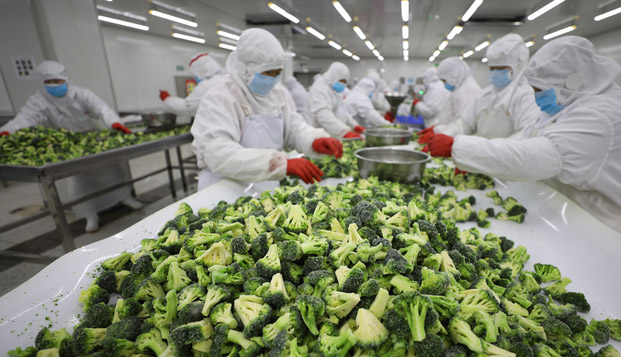 囤货！囤年货！科学囤年货！ 冰箱里的年货这样存放更保鲜